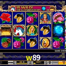 w89 Rio de Janeiro - Professional Dealers